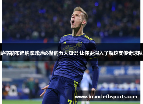 萨格勒布迪纳摩球迷必备的五大知识 让你更深入了解这支传奇球队