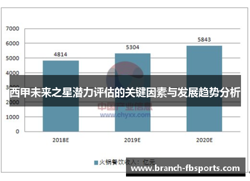 西甲未来之星潜力评估的关键因素与发展趋势分析