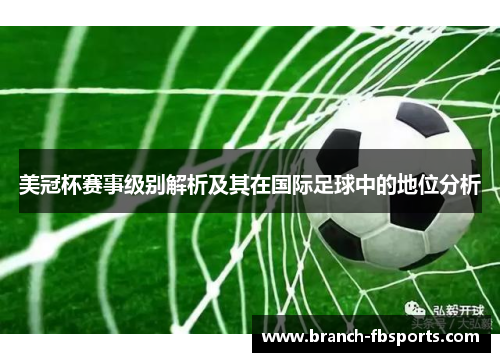 美冠杯赛事级别解析及其在国际足球中的地位分析