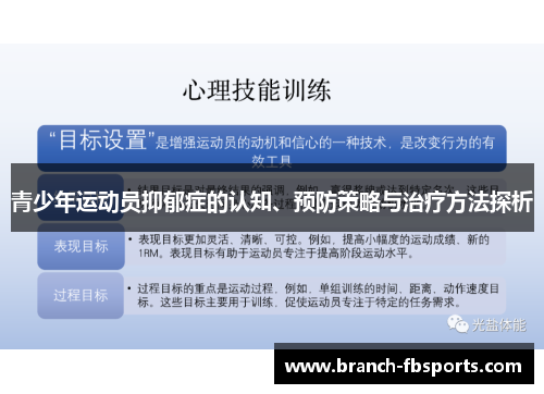 青少年运动员抑郁症的认知、预防策略与治疗方法探析